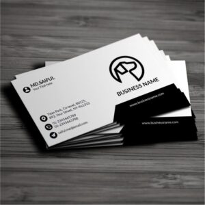 BUSINESS STARTER VISITING CARD (100 CARDS BUNDLE)